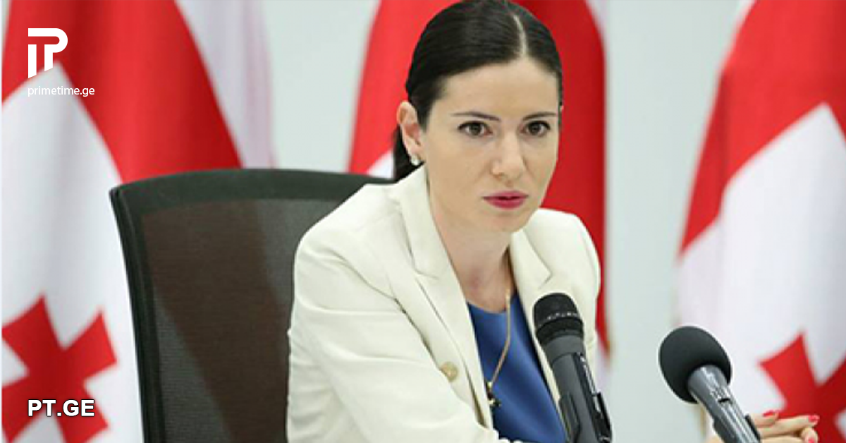 მიუღებელია ნებისმიერი ძალადობა, განსაკუთრებით ძალადობა მედიის წარმომადგენლებზე – ნინო გიორგობიანი
