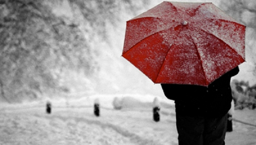 აღმოსავლეთ საქართველოში მოსალოდნელია -4 გრადუსამდე ყინვა – გარემოს ეროვნული სააგენტო