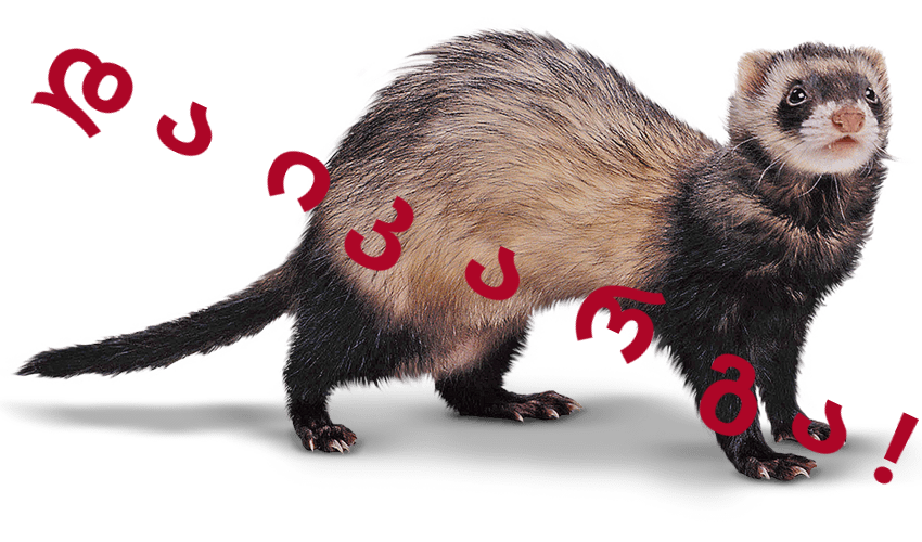 სანზონის ტერიტორიაზე ქრცვინი დაიკარგა – ოჯახი დახმარებას ითხოვს