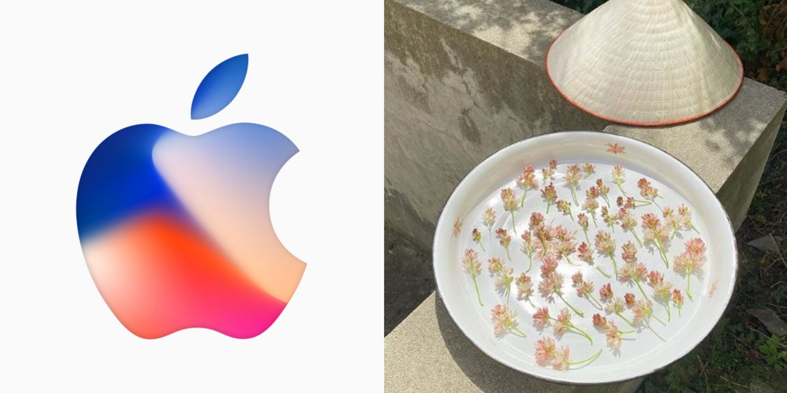 ქართველი ფოტოგრაფის ჯონჯოლის ფოტო Apple-ის ოფიციალურ გვერდზე მოხვდა 