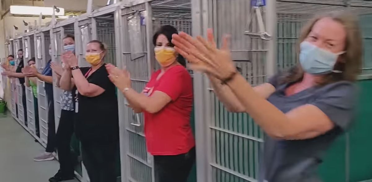 ემოციური კადრები ცხოველთა თავშესაფრიდან, რომელიც მთლიანად დაიცალა