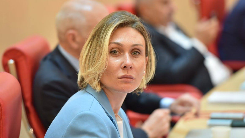 პარლამენტის გენდერული საბჭო ეკონომიკაზე პანდემიის გავლენის გენდერულ ანალიზს მოვამზადებთ – წილოსანი