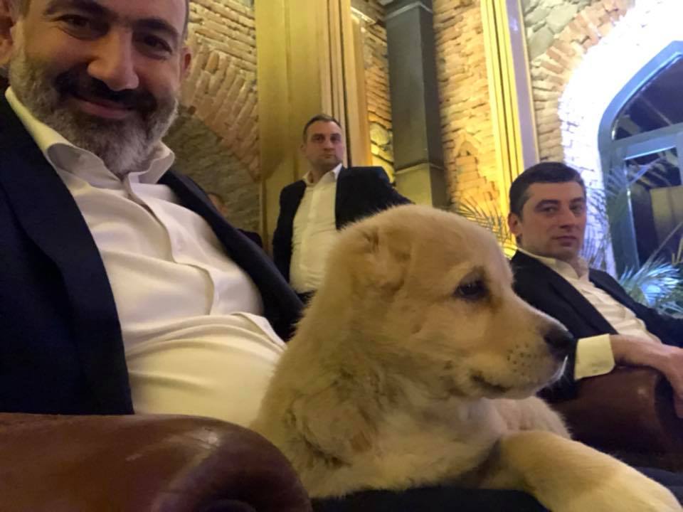 “ერევანი ნაგავში იძირება, თბილისში კი რუსთაველის პროსპექტს რეცხავენ” – რას წერს სომხური გამოცემა კორონავირუსთან ბრძოლის ეფექტურობაზე