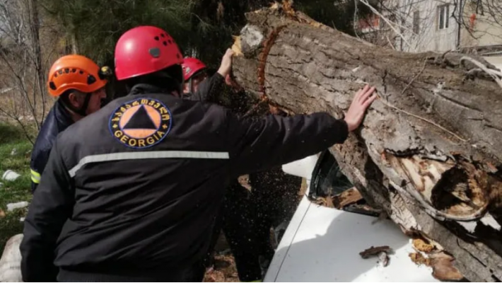 ხის ტოტების მოტეხის შედეგად, სულ 13 ავტომობილი დაზიანდა