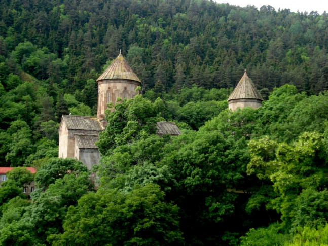 პარლამენტში საპატრიარქოსთვის ტყის გადაცემაზე ცვლილებებს მხარი დაუჭირეს