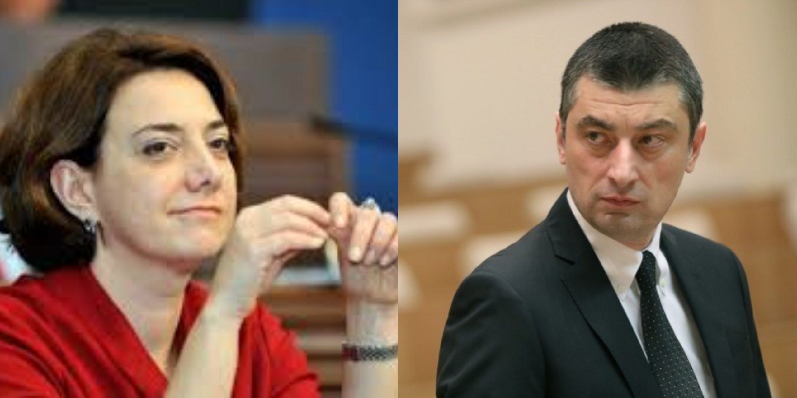 „ეჭვი მაქვს, ექსკლუზიური უფლება მოიპოვეთ ჩვენი პარტნიორების თარგმნის“ – გახარია სალომე სამადაშვილს