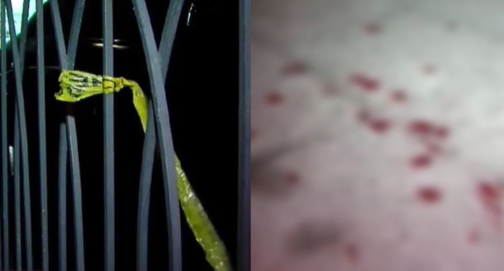 სისხლიანი გარჩევა დიდუბეში! - ვინ არიან წერეთელზე, სკვერში დაჭრილი ახალგაზრდები