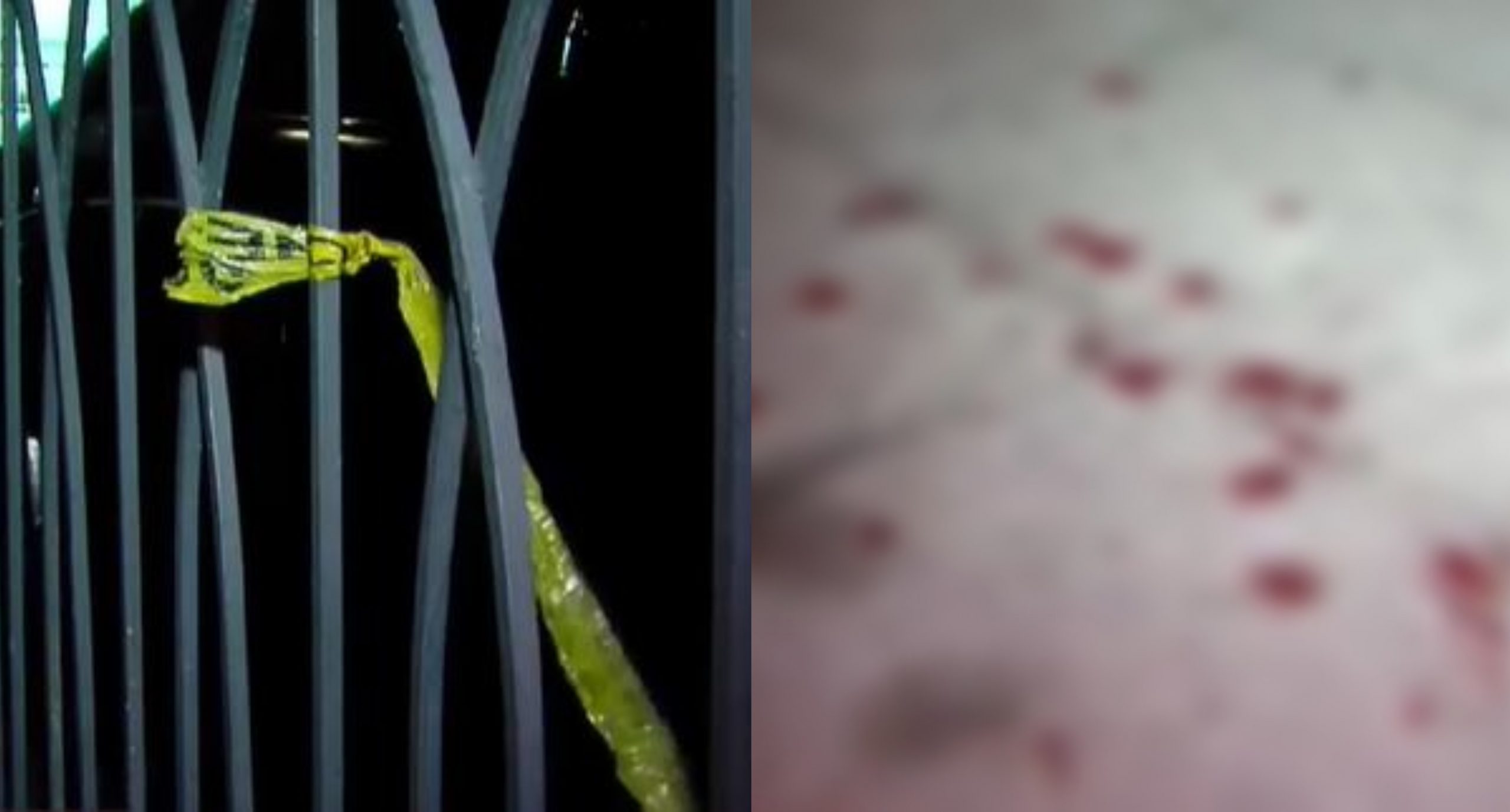 სისხლიანი გარჩევა დიდუბეში! – ვინ არიან წერეთელზე, სკვერში დაჭრილი ახალგაზრდები