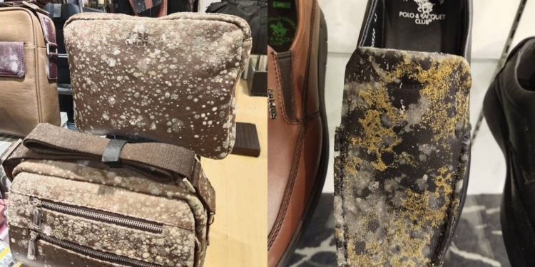 კარანტინის დროს მაღაზიებში ფეხსაცმელები, ჩანთები და ტანსაცმელი დაობდა (მალაიზია)