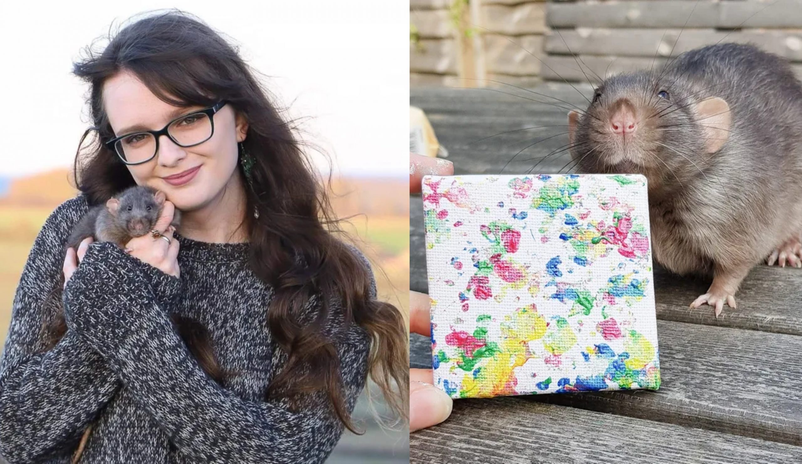 იყიდება ვირთხების მიერ შექმნილი მინიატურული ნახატები – ფოტოები