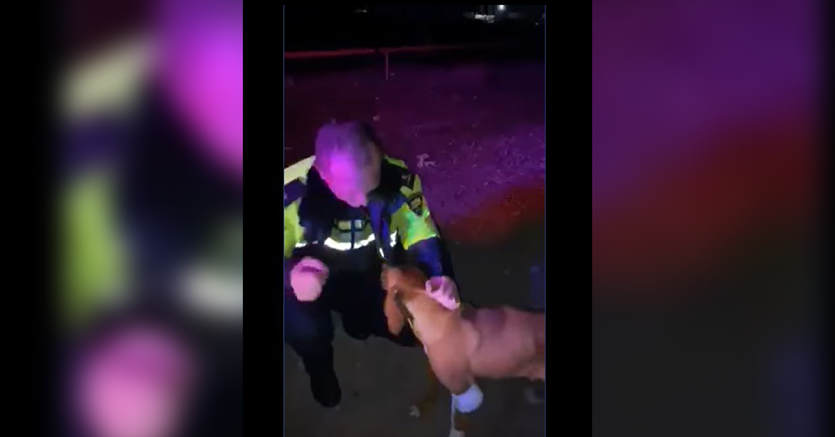 ქართველმა პოლიციელმა მიუსაფარ ძაღლს ნატკენი ფეხი შეუხვია (ვიდეო)