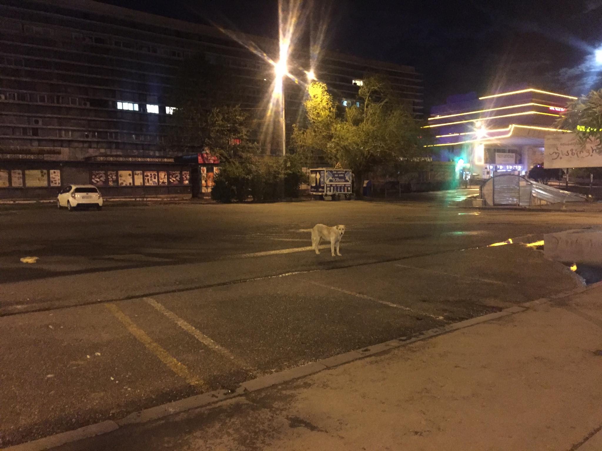 ღამის თბილისი კომენდანტის საათის პირობებში – ვინ და რატომ ვერ დარჩა სახლში