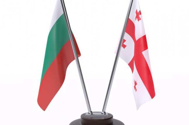 ბულგარეთმა საქართველოს ჰუმანიტარული დახმარება გადასცა