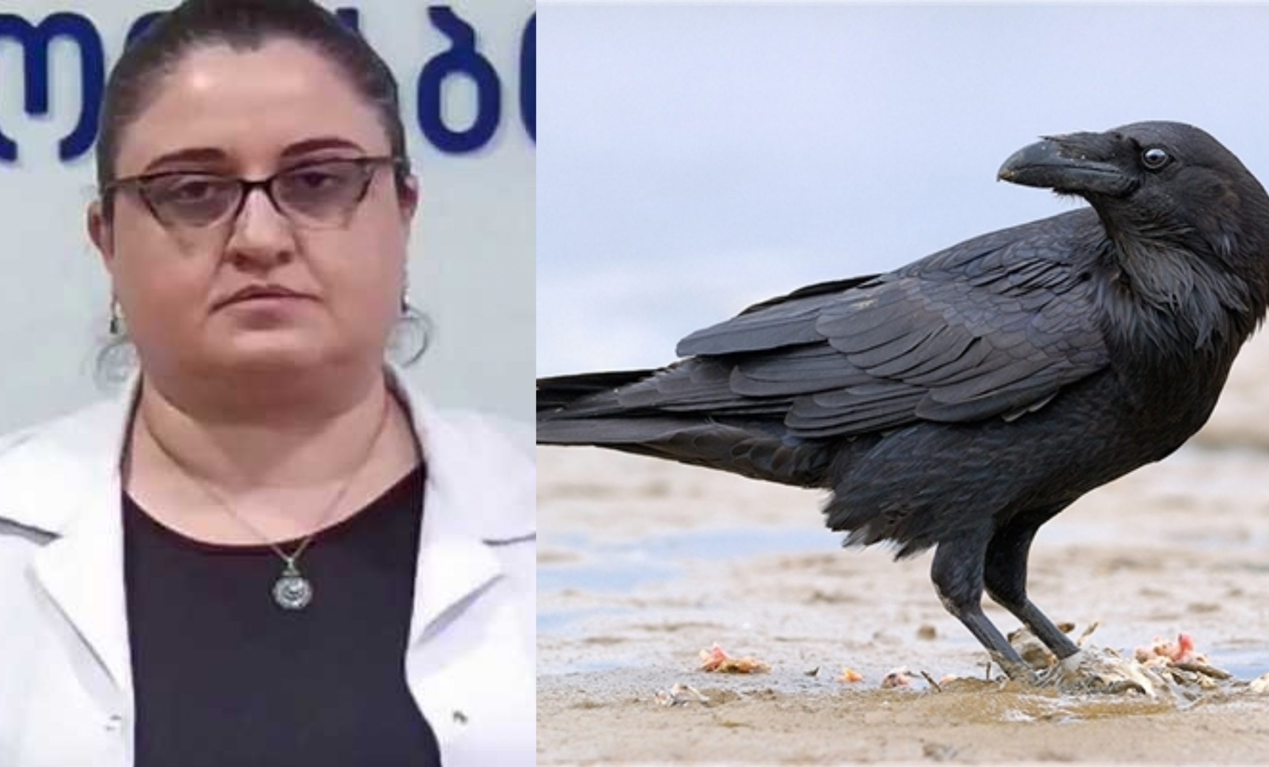 West Nile virus – ყვავის ნაკაწრით გამოწვეული ინფექცია