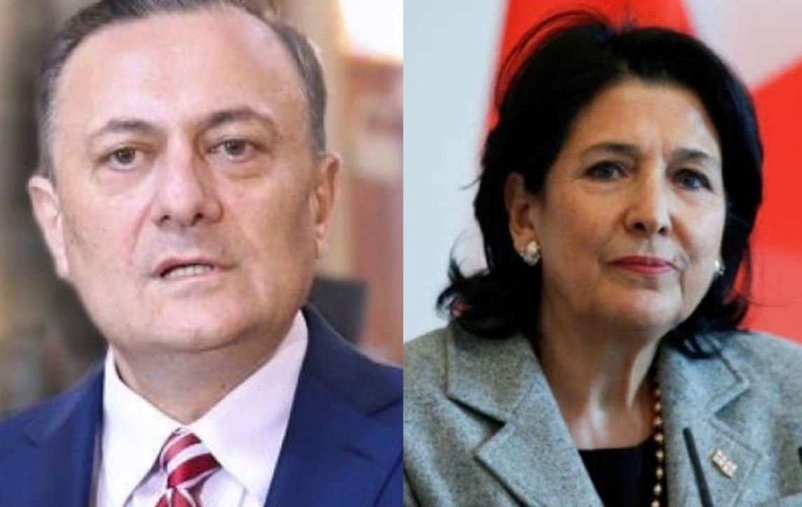 პრეზიდენტად რომ დანიშნეს, მერე აღმოაჩინა საქართველო – ნათელაშვილი ზურაბიშვილის ინიციატივაზე