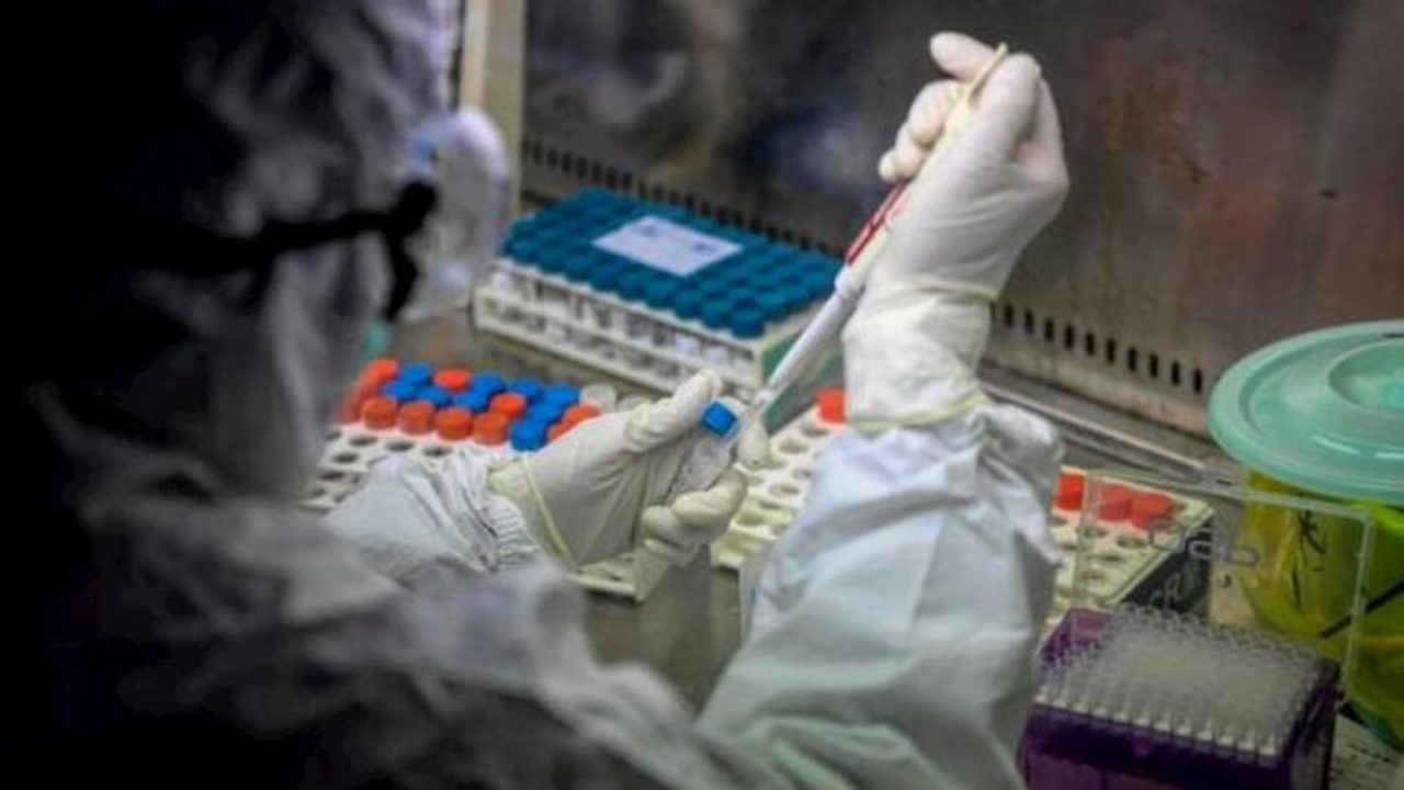 კახეთი კვლავ მწვანე ზონაა – დედოფლისწყაროელი მძღოლის არცერთ კონტაქტს ვირუსი არ დაუდასტურდა