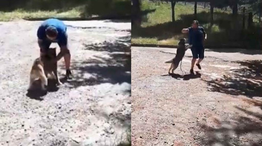 VIDEO: ემოციური შეხვედრა - 4 წლის წინ დაკარგულმა ძაღლმა პატრონი მაშინვე იცნო