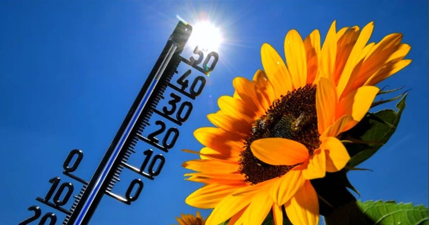 საქართველოში +37 გრადუსამდე დაცხება – ამინდის პროგნოზი 24 მაისამდე