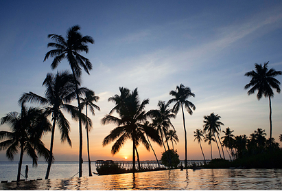 Financial Times: მდიდრებმა კერძო კუნძულების შეძენა დაიწყეს