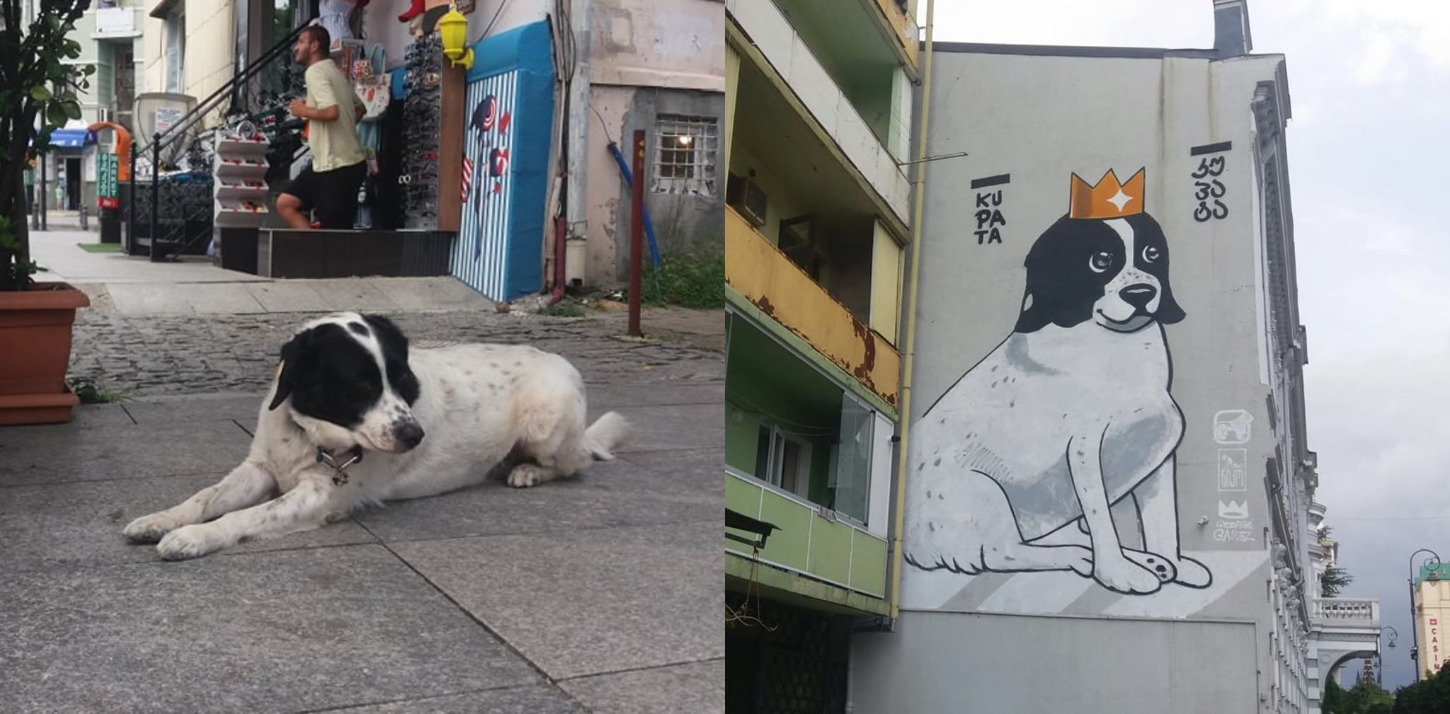 “ხაჭაპურს არ ჭამს… დელიკატესებს რომ მიირთმევს, ამიტომაც არის ჩაკუპატებული” – კუპატა “პრაიმტაიმის” ობიექტივში