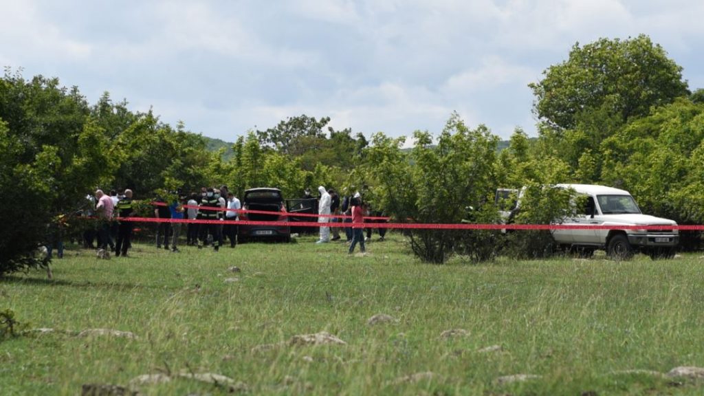 Exclusive: ბაჩალიაშვილის მანქანაში ნაპოვნი მედიკამენტის შესახებ „პრაიმტაიმს“ ინფორმაცია მიაწოდეს