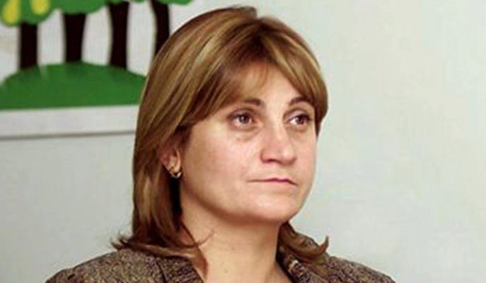 მინდა ოჯახს ბოდიში მოვუხადო, მერჩივნა ეს მე დამმართნოდა - ნინო ჟვანიას პირველი კომენტარი ინციდენტის შემდეგ