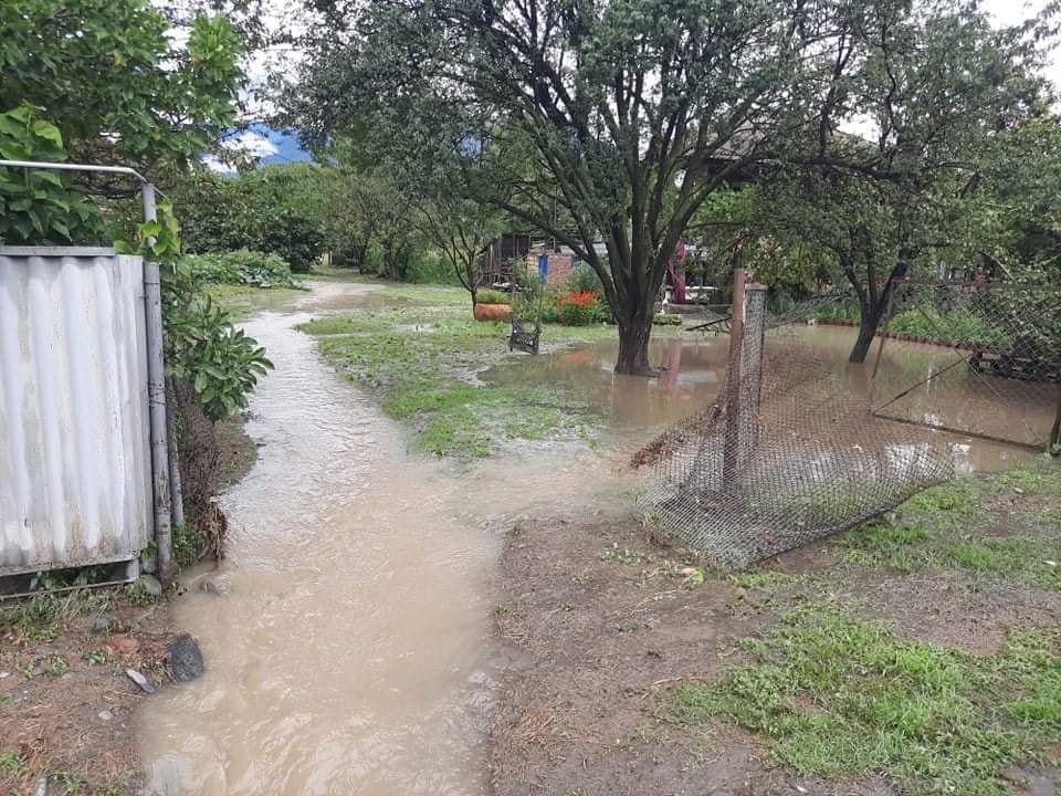 ძლიერმა წვიმამ ლაგოდეხის მუნიციპალიტეტიც დააზარალა