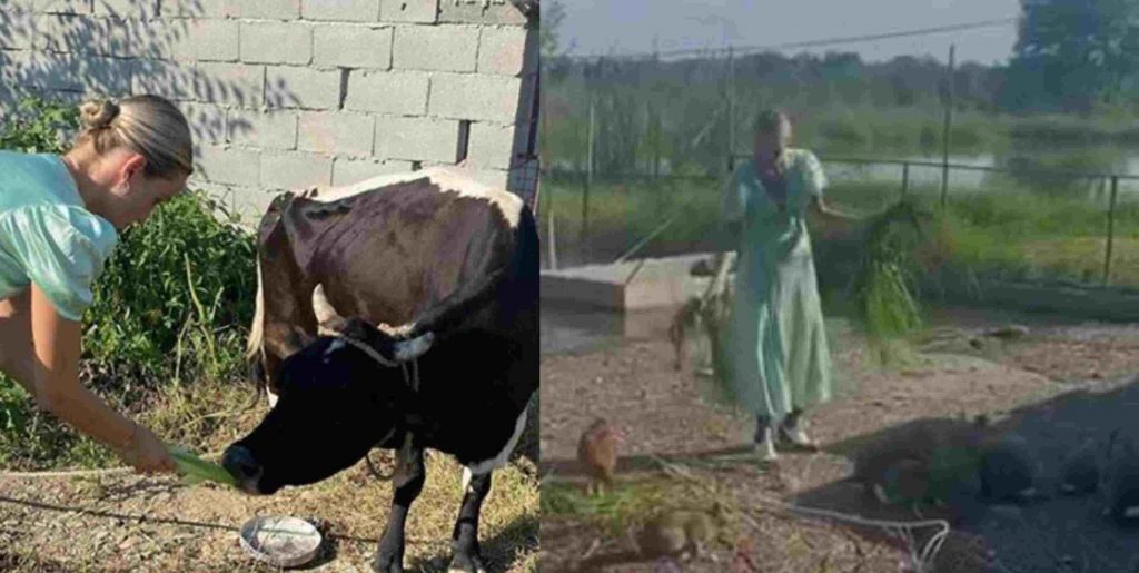 ანუკი არეშიძე უჩვეულო ამპლუაში - დიზაინერი ფერმაში ცხოველებსა და ფრინველებს უვლის - ვიდეო 