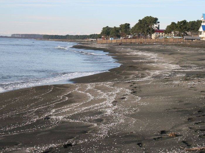 ურეკში 20 წლის ახალგაზრდას ეძებენ