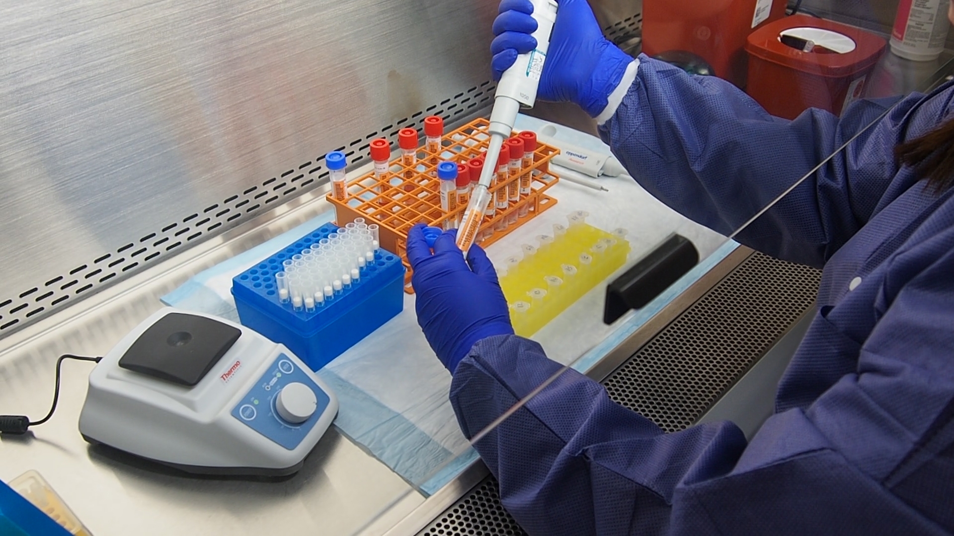 ახმეტის მუნიციპალიტეტის სოფელ მატანში, გაფართოებული ტესტირება დაიწყება