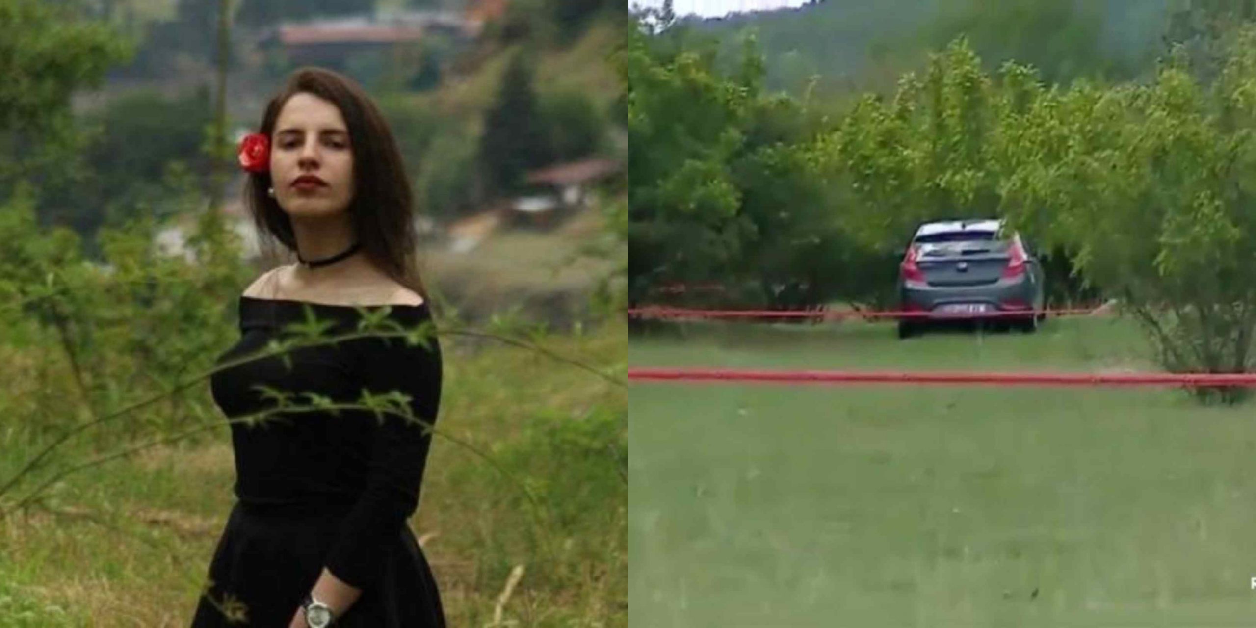 სატელიტის კადრებში თამარ ბაჩალიაშვილის მანქანა ტყეში არ დგას – მიხეილ რამიშვილი