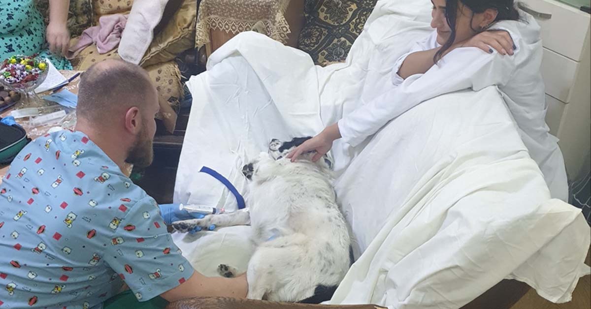 კუპატას ღვიძლის გაცხიმოვნება დაუდგინდა – ნუ შეუქმნით საფრთხეს მის ჯანმრთელობას!!!