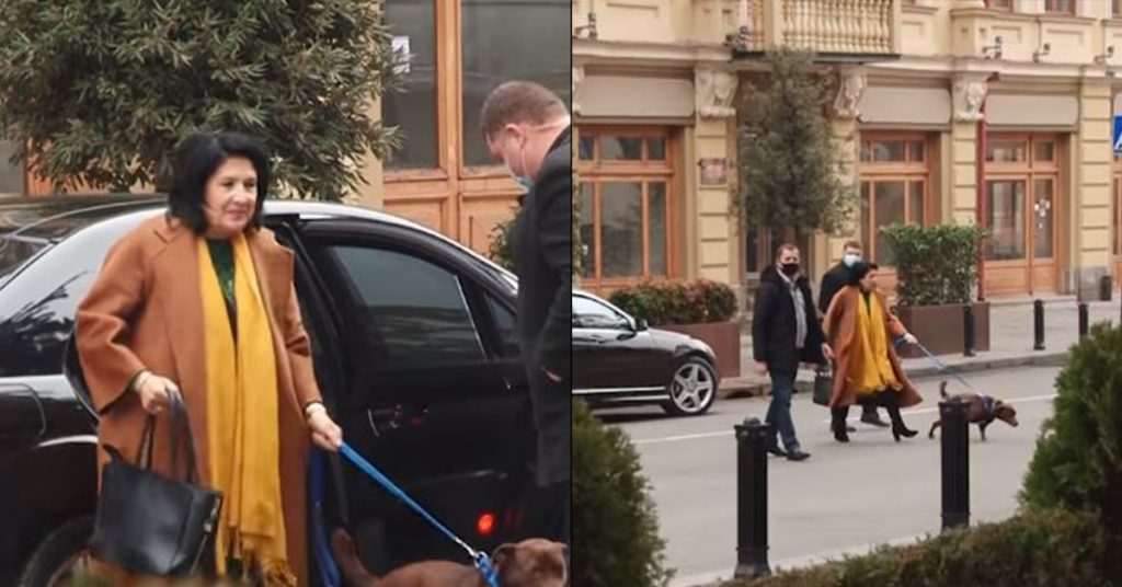 პრეზიდენტი ტელეკამერებმა ძაღლის გასეირნებისას დააფიქსირა - ნახეთ ვიდეო