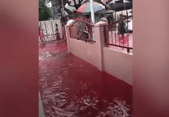 სოფელი სისხლისფრად დაიტბორა – ამ უცნაური ამბის ამსახველ ვიდეოს The Independent-ი ავრცელებს