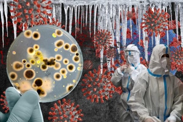 საქართველოში კორონავირუსით კიდევ 4 901 ადამიანი დაინფიცირდა