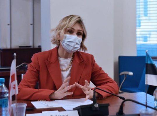 მოვუწოდებ სააკაშვილის მხარდამჭერებს, თავის შეიკავონ ყველანაირი დესტრუქციული ქმედებისგან – ნინო წილოსანი
