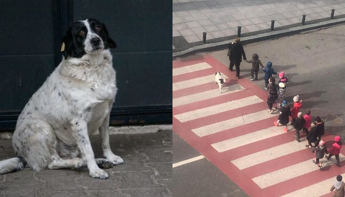 „კუპატა “ „სამსახურს“ დაუბრუნდა - ფოტო