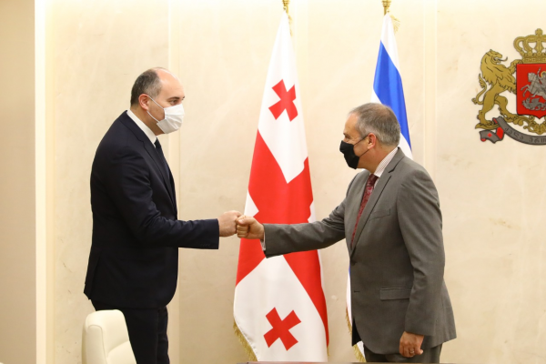 საქართველოს თავდაცვის მინისტრი ისრაელის ელჩს შეხვდა