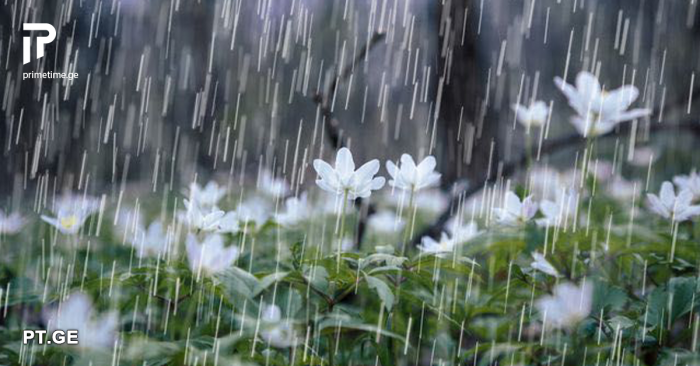 დღეს საქართველოს გარკვეულ რეგიონებში იწვიმებს – ნახეთ ამინდის განახლებული პროგნოზი