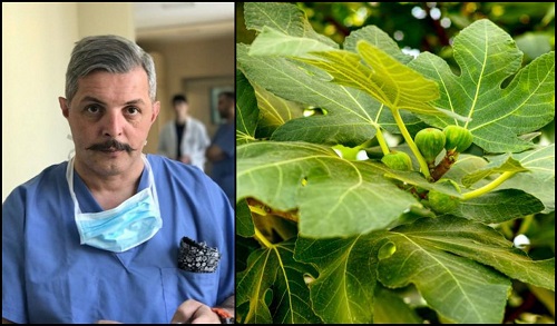 ლეღვის ნახარშით რუჯის მიღების ტრადიცია 10 წლის ხდება – ქაშიბაძე