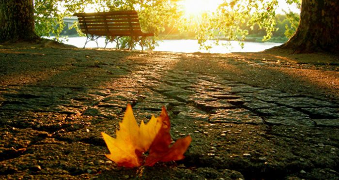 დილით, სანამ სახლიდან გახვალთ, ეს ინფორმაცია ნახეთ