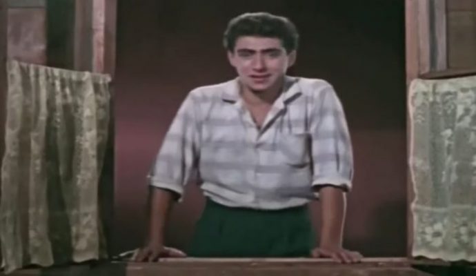 ვინ არის ბიჭიკო ფილმიდან „უდიპლომო სასიძო“