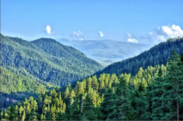 მაშველებმა აბასთუმნის ტყეში დაკარგული ახალგაზრდები უვნებელი იპოვეს