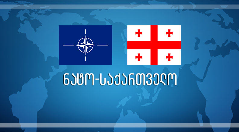 რუმინეთის პარლამენტის საგარეო საქმეთა კომიტეტი მხარს უჭერს საქართველოს ნატოში ინტეგრაციას