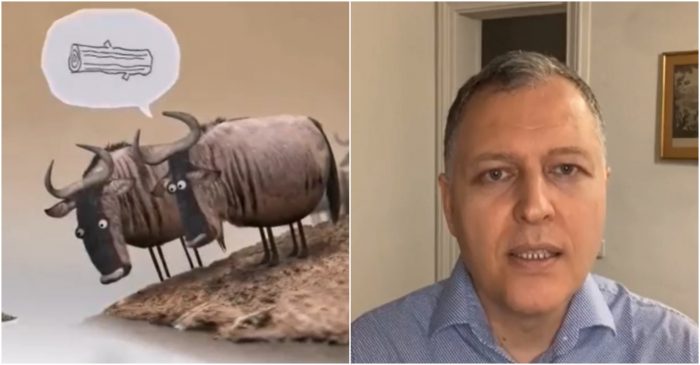 ნიანგი=კორონა … მაინც ვერ გაიგებთ – ნახეთ, რა ვიდეოს აქვეყნებს გიორგი ფხაკაძე