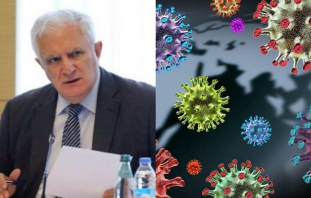 ე.წ ქართულ შტამზე ამირან გამყრელიძე განმარტებას აკეთებს