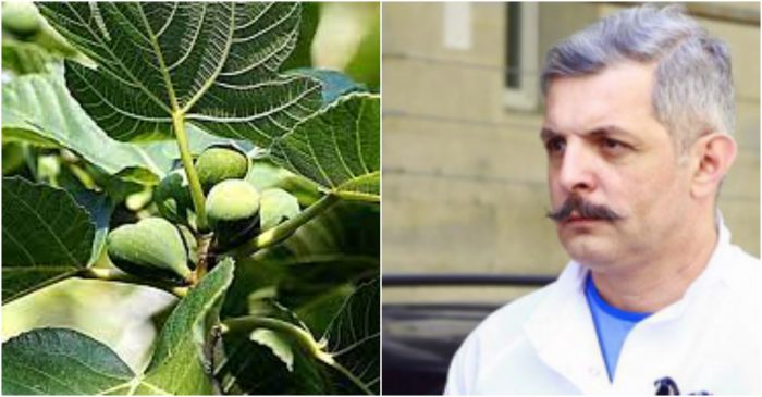 „15 წლის გოგონა იყო. ახლა უკვე 25-ის იქნება“ – ვინ გამოიყენა საქართველოში პირველად ლეღვის ნახარში გასარუჯად?