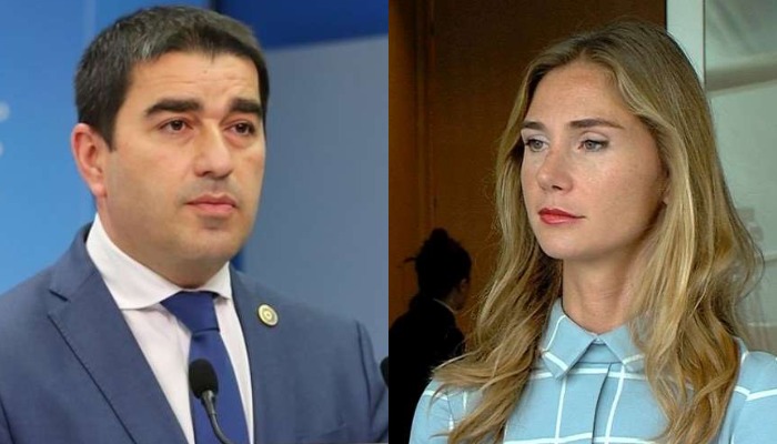 დაბრალებებს არ ვიყოთ… თინასთან ვწუხვარ… – შალვა პაპუაშვილის პირველი კომენტარი პარლამენტში მომხდარ ინციდენტზე