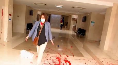 ელენე ხოშტარიამ მთავრობის ადმინისტრაციის შენობას წითელი საღებავი შეასხა