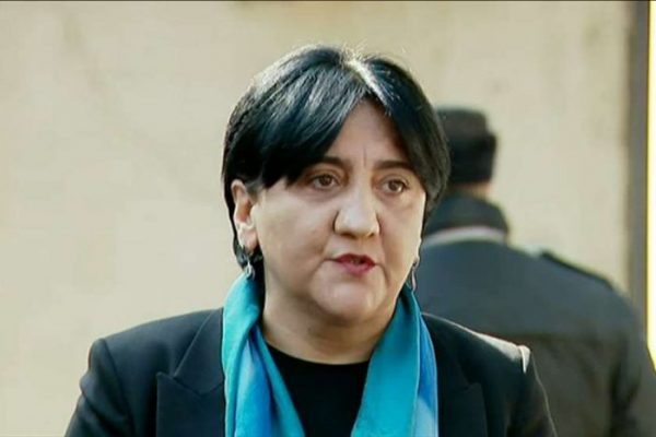 დიახ, ჩავალ რუსეთში, რათა ჩემი ქვეყნის ინტერესი დავიცვა - ირმა ინაშვილი